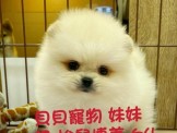 點選圖片可放大