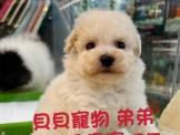 點選圖片可放大