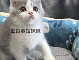 點選圖片可放大