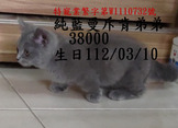 點選圖片可放大