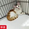 點選圖片可放大