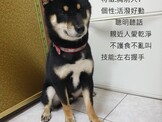 點選圖片可放大
