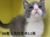 點選圖片可放大