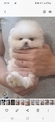 點選圖片可放大