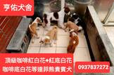 點選圖片可放大