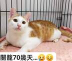 點選圖片可放大