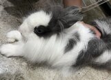 點選圖片可放大