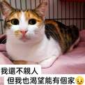 點選圖片可放大