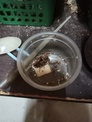 點選圖片可放大