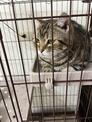 點選圖片可放大