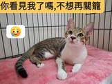 點選圖片可放大
