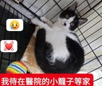 點選圖片可放大