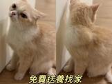 點選圖片可放大