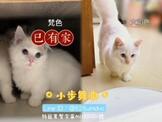 點選圖片可放大