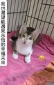 點選圖片可放大
