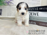 點選圖片可放大