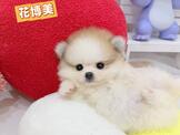 點選圖片可放大