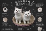 點選圖片可放大