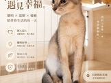 點選圖片可放大