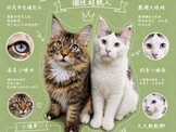 點選圖片可放大