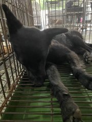 點選圖片可放大