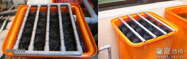 過濾毛刷再不溪鋼釘製316過濾槽中的設計一根根的316不休剛才可穿過好幾條過濾毛刷並且依提一放就能清洗與輕鬆安裝鮰過濾槽中給魚苗提共良好水質的保證