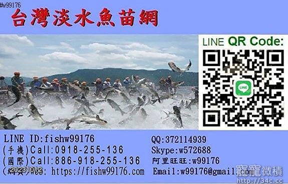 台灣淡水魚苗網購買各種魚苗、魚種、觀賞魚、食用魚、大小魚、幼魚、魚軟、魚花、魚線、專業養殖魚飼料、水產魚、水產設備、水產箱網、過濾材料、過濾毛刷、過濾石頭、台灣鯛魚苗、草魚、加州鱸魚、烏鰡魚、魚苗、魚