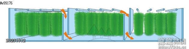 過濾毛刷圖問介紹在中大型魚池過濾設計圖紙 過濾毛刷設計系統圖 毛紗在於池水中過濾圖